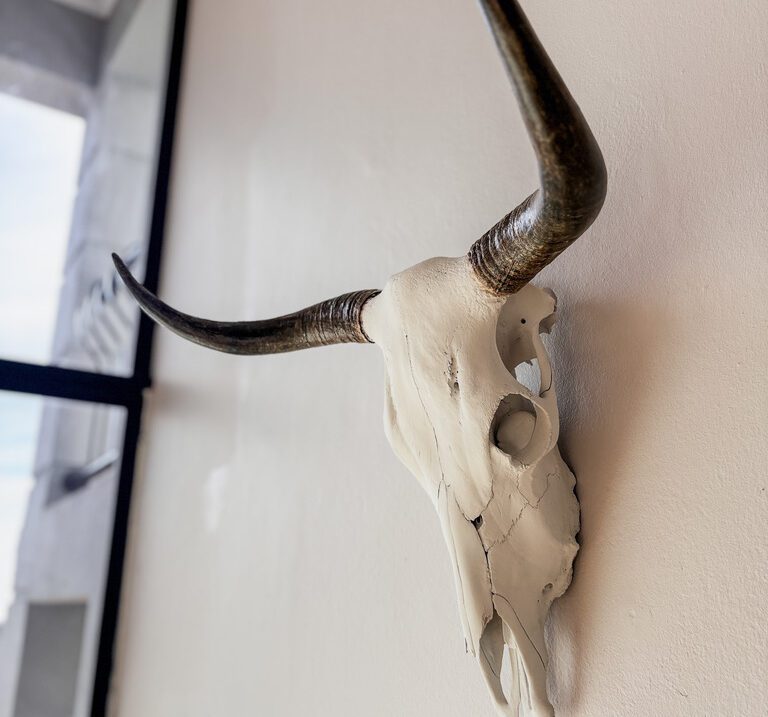 Nguni cow scull art made in south africa