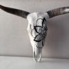 painted nguni scull south africa